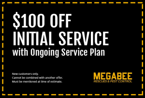 100 off pest control miami