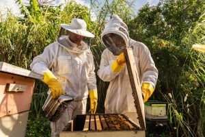 Miami beekepers at Mega Bee