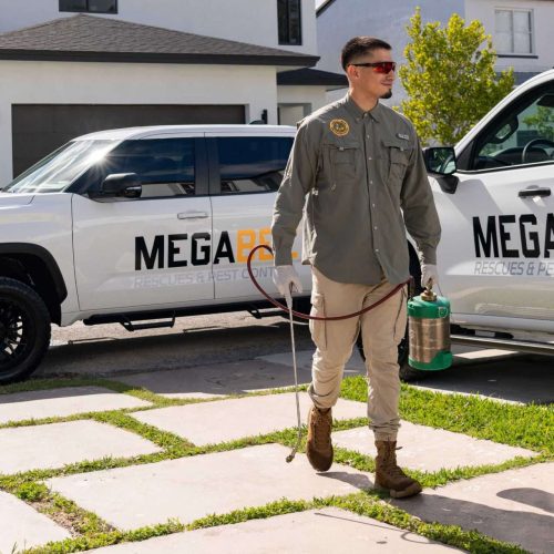North Miami pest control technician