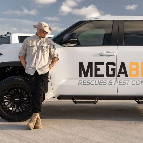 MegaBee Pest control and beekeeper