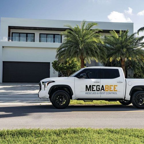 Mega Bee Pest Control truck in front of miami home